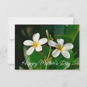 Witte Frangipani Kaart