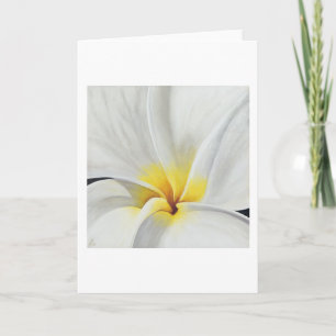 Witte Frangipani Kunstkaart Kaart