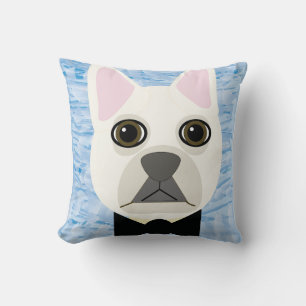 Witte Franse Bulldog, Blauw Kussen