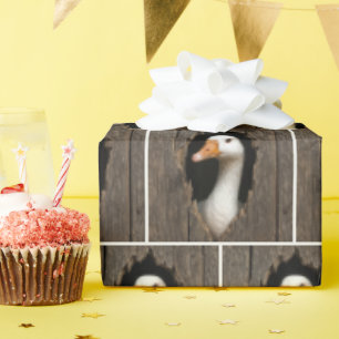 Witte gans gluren uit grillig houten gat cadeaupapier