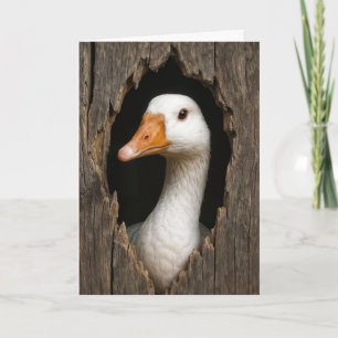 Witte gans gluren uit grillig houten gat kaart