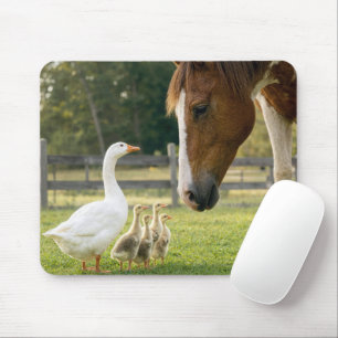Witte gans met ganzenkuikens en paard muismat