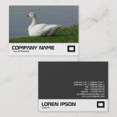Witte gans visitekaartje (Voorkant / Achterkant)