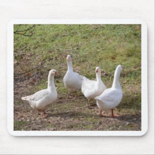 Witte ganzen muismat