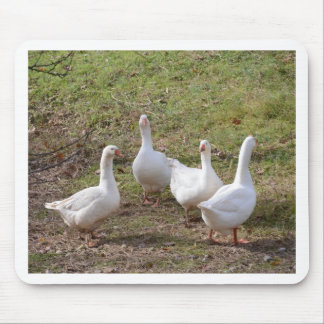 Witte ganzen muismat