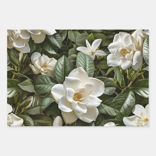 Witte gardenia bloemen inpakpapier vel (Voorkant 3)