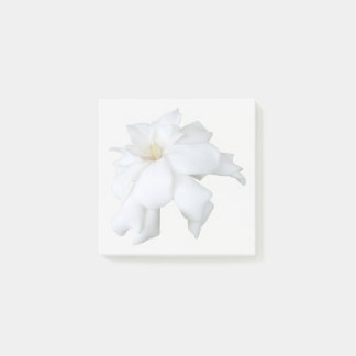 Witte Gardenia Post-Its Post-it® Notes