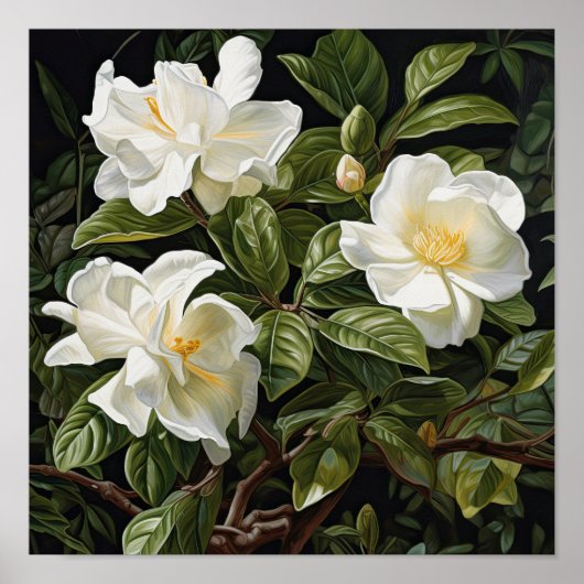 Witte Gardenias Bloemenkunst Print Poster (Voorkant)