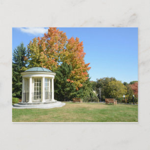 witte gazebo in het najaar briefkaart