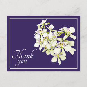 Witte geaderde orchideeën paarse achtergrond dank briefkaart