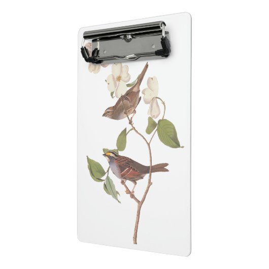 Witte geduroteerde mousserende audubon-vogels met  mini klembord (Angled2)