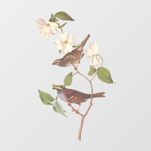 Witte geduroteerde mousserende audubon-vogels met  raamsticker