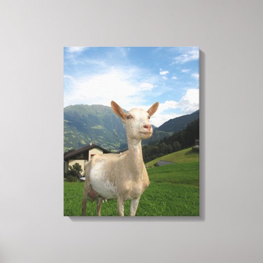 Witte geit canvas afdruk (Voorkant)