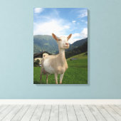 Witte geit canvas afdruk (Insitu (Houten vloer))