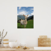 Witte geit poster (Keuken)