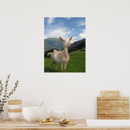 Witte geit poster (Keuken)