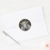 Witte Geit Sticker (Envelop)