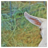 Witte geit stof (Close Up)