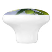 witte gele diepte keramische knop (Zijkant)