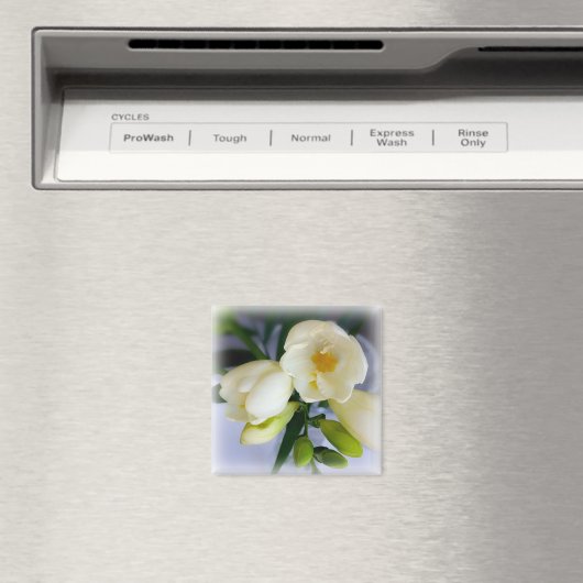 witte gele diepte magneet (Insitu (Vaatwasser))