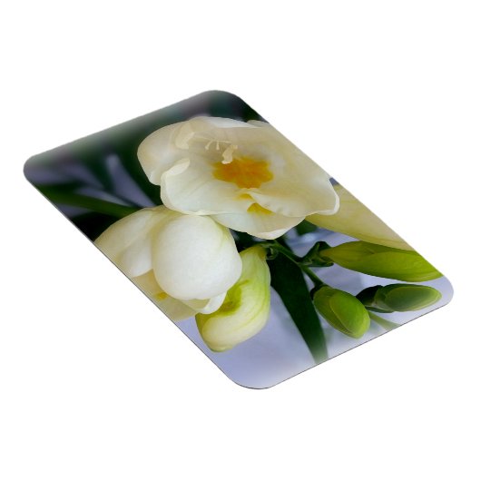 witte gele diepte magneet (Rechterzijde)