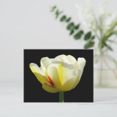 Witte gele Tulp sluit de buis dicht. BG DIY Briefk Briefkaart (Staand voorkant)