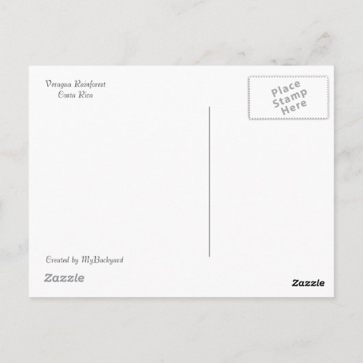 Witte gemberbloem Briefkaart (Achterkant)