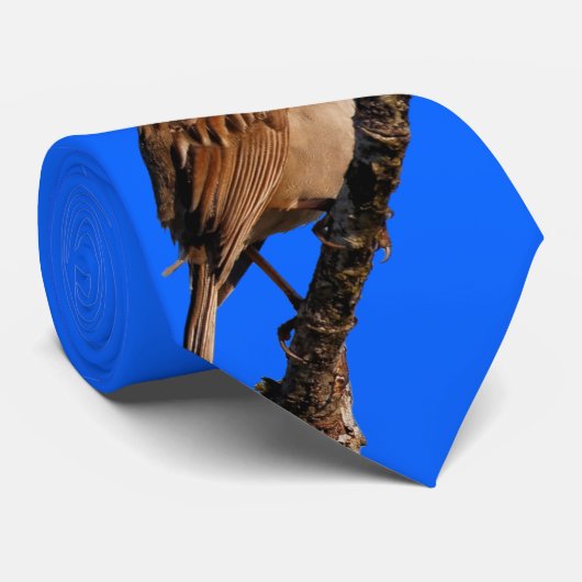 Witte-Gesneden Sparrow Zingingen aan de Zon Stropdas (Opgerold)