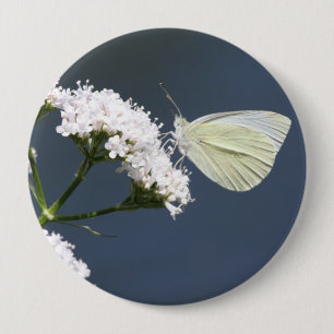Witte Gevleugelde Wonder Butterfly Pin Ronde Button 4,0 Cm
