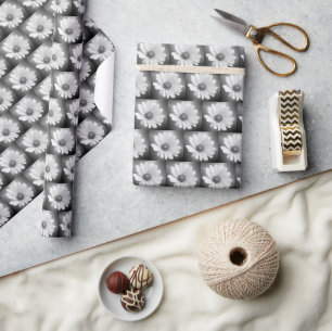 witte gloeiende margriet op zwart cadeaupapier