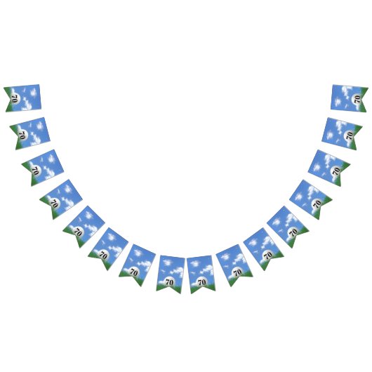 witte golfbal in gras voor het 70ste verjaardagsfe vlaggetjes (Alle)