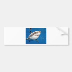 Witte Haai Bumpersticker