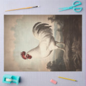 Witte Haan Illustratie Vintage Decoupage Tissuepapier (Craft)