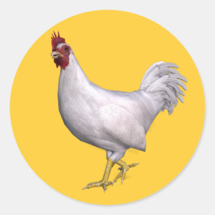 Witte Haan Ronde Sticker
