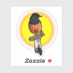Witte hamervogel Sticker