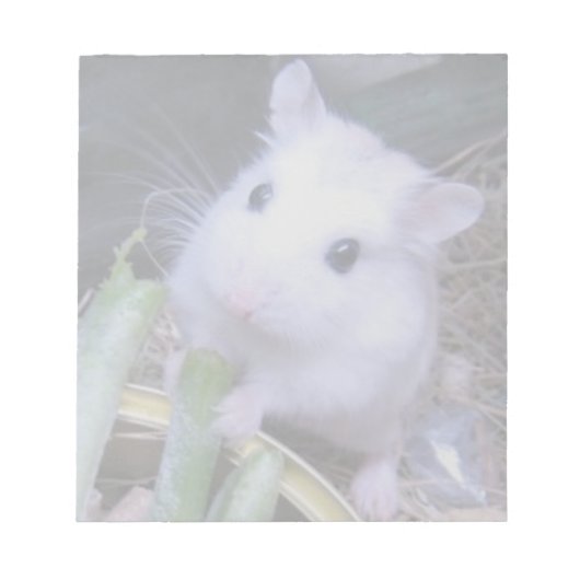 Witte hamster notitieblok (Voorkant)
