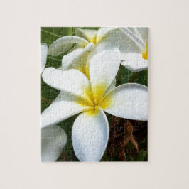 Witte Hawaii Plumeria Bloem Legpuzzel