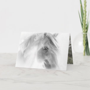 Witte hengst gloeit - Paard Wenskaart Kaart
