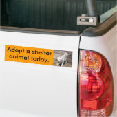 Witte Herder Bumpersticker (Op Truck)