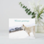 Witte herder in sneeuwBriefkaart Briefkaart (Staand voorkant)