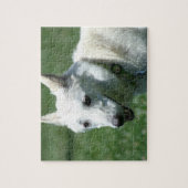Witte herder legpuzzel (Verticaal)