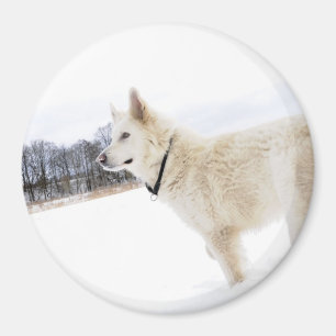 witte herdershond Magnet Magneet