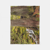 Witte Herfsten, Oregon Cascades, Oregon Fleece Deken (Voorkant)