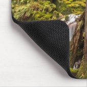 Witte Herfsten, Oregon Cascades, Oregon Muismat (Hoek)