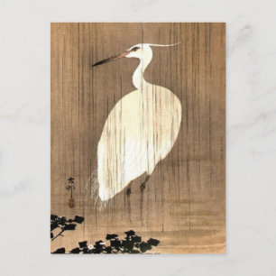 Witte Heron in de Regen Briefkaart