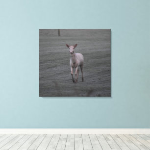 witte herten canvas afdruk