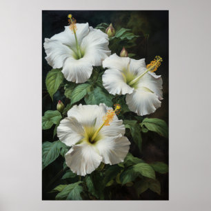 Witte Hibiscus Bloem Kunstprint Poster