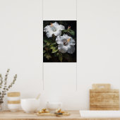 Witte Hibiscus Bloemen Art Print Poster (Keuken)