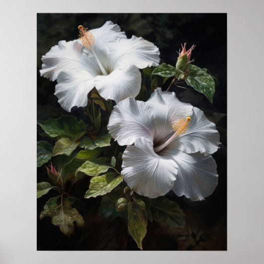 Witte Hibiscus Bloemen Art Print Poster (Voorkant)