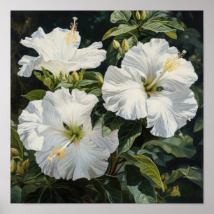 Witte Hibiscus Bloemenkunst Print Poster